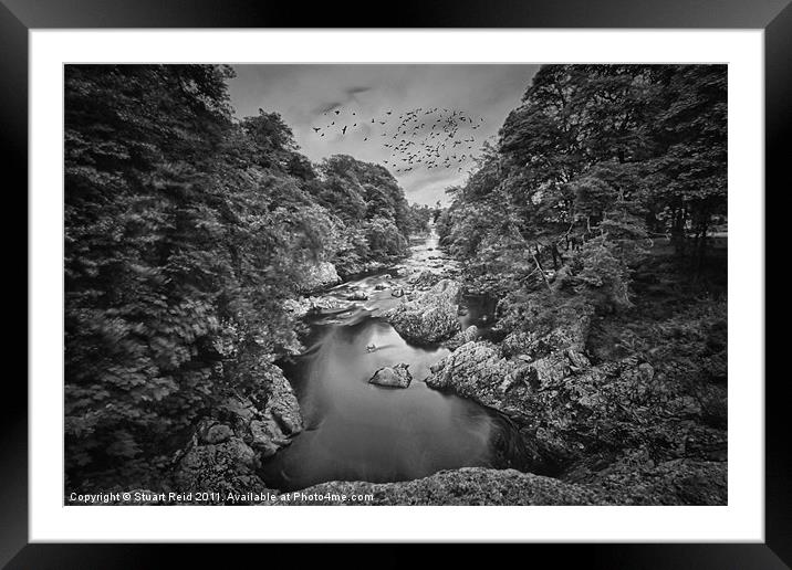 The Dark Side Framed Mounted Print by Stuart Reid