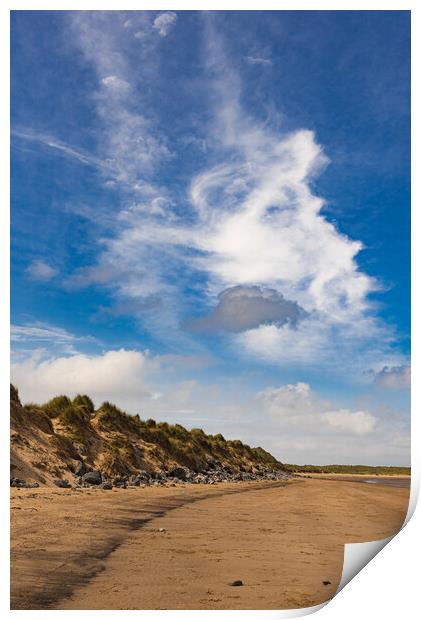 Industrial dunes, North Gare Print by Gary Eason