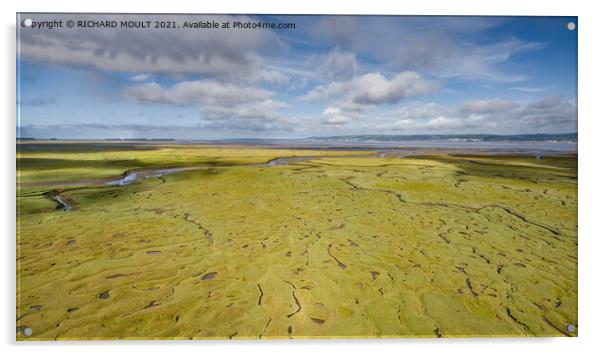 Loughor Estuary and Salt Marsh Acrylic by RICHARD MOULT