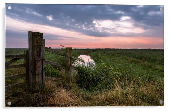 Dawn on Halvergate Marshes Norfolk Acrylic by David Powley