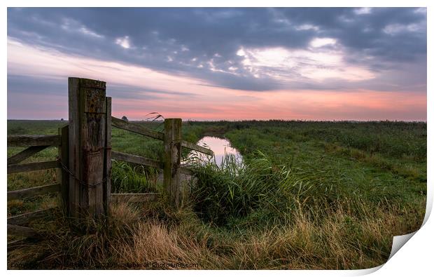 Dawn on Halvergate Marshes Norfolk Print by David Powley
