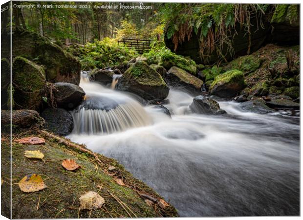 Wyming Brook Canvas Print by Mark Tomlinson