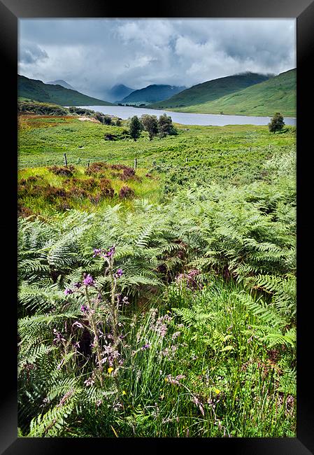 Loch Arklet Framed Print by Stephen Mole