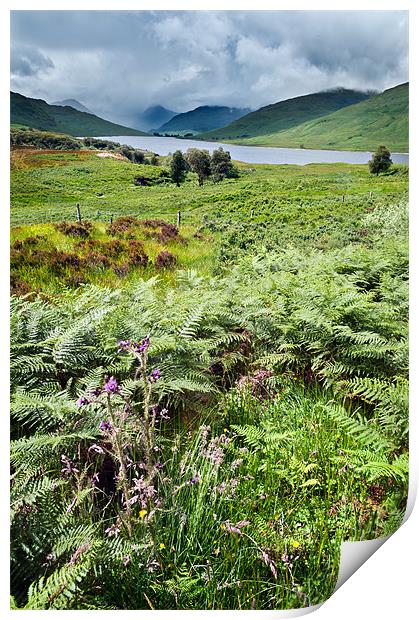 Loch Arklet Print by Stephen Mole