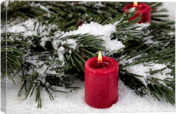 Close up view of a glowing red candle with snow covered fir tree Canvas Print by Thomas Baker