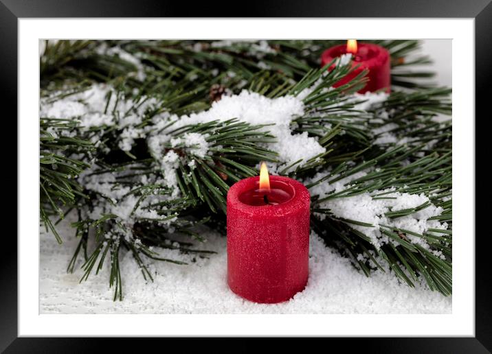 Close up view of a glowing red candle with snow covered fir tree Framed Mounted Print by Thomas Baker