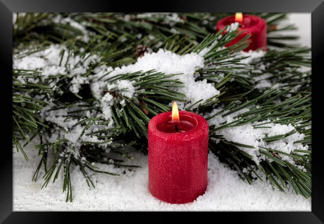 Close up view of a glowing red candle with snow covered fir tree Framed Print by Thomas Baker