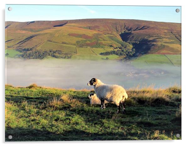 Morning mist in Edale valley. Acrylic by john hill