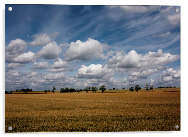 Yorkshire Sky Acrylic by Martin Davis