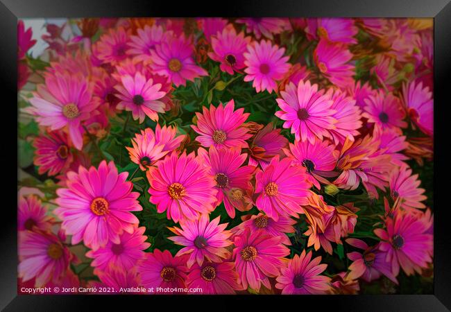 Dance of Daisies at Sunset - CR2105-5278-PIN-R Framed Print by Jordi Carrio