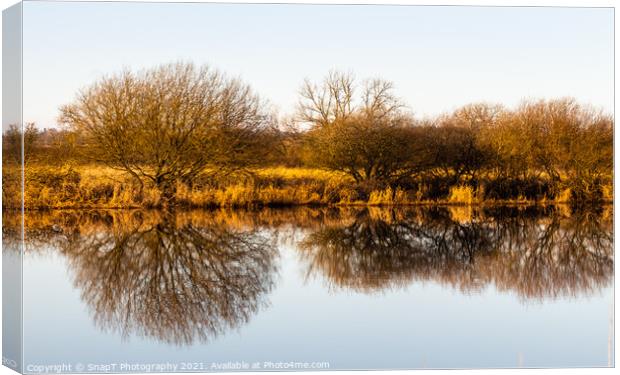 Landscape of golden trees and shrubs in winter reflecting on a river, Canvas Print by SnapT Photography
