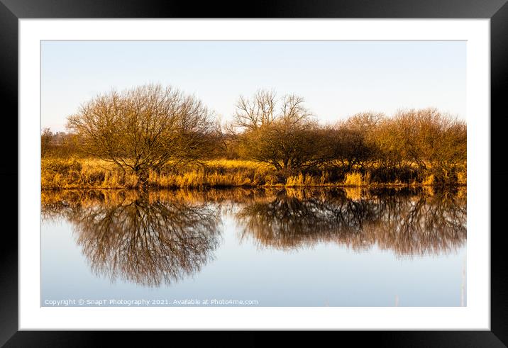 Landscape of golden trees and shrubs in winter reflecting on a river, Framed Mounted Print by SnapT Photography