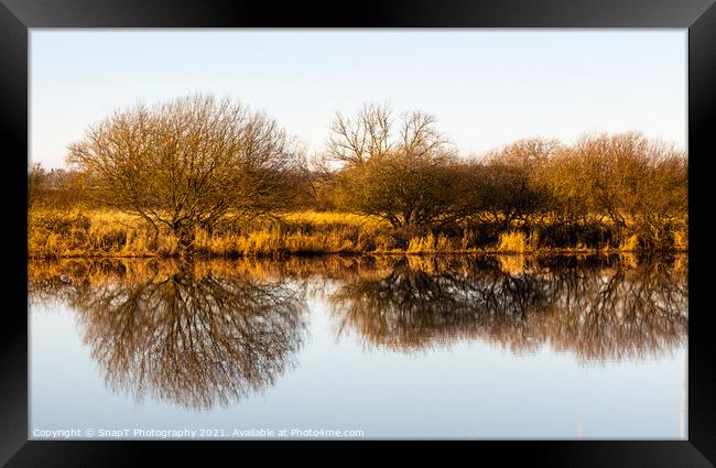 Landscape of golden trees and shrubs in winter reflecting on a river, Framed Print by SnapT Photography