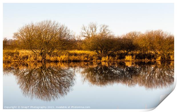 Landscape of golden trees and shrubs in winter reflecting on a river, Print by SnapT Photography