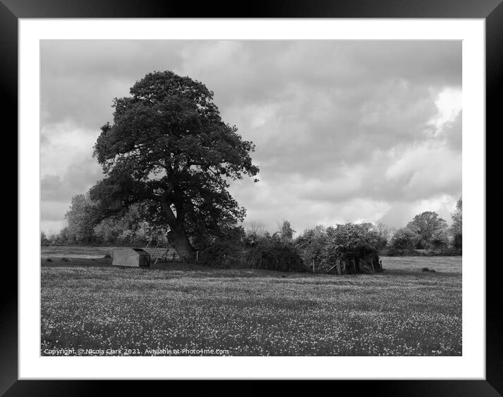 Serenity in Monochrome Framed Mounted Print by Nicola Clark