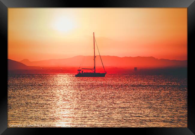 Sunset Sail Framed Print by Janie Pratt