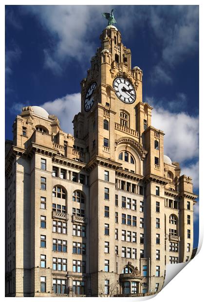 Royal Liver Building Print by Darren Galpin