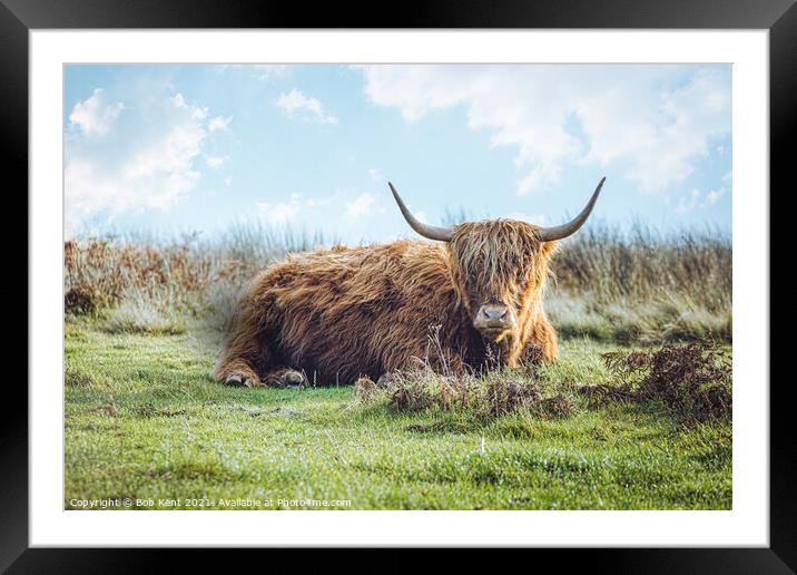 Hairy but Horny Framed Mounted Print by Bob Kent