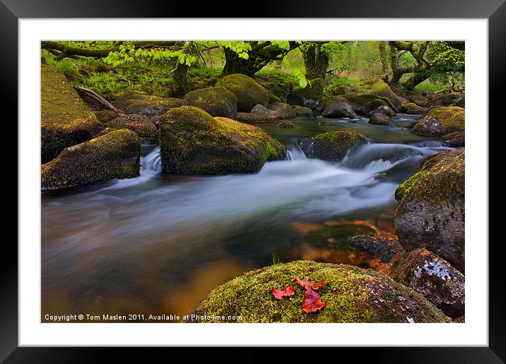 Finding a way Framed Mounted Print by Tom Maslen