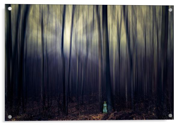 Squirrel In Da Dark Woods Acrylic by Chris Lord