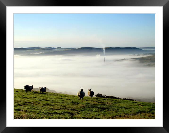 Morning mist. Framed Mounted Print by john hill