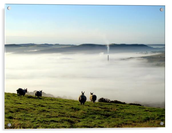 Morning mist. Acrylic by john hill