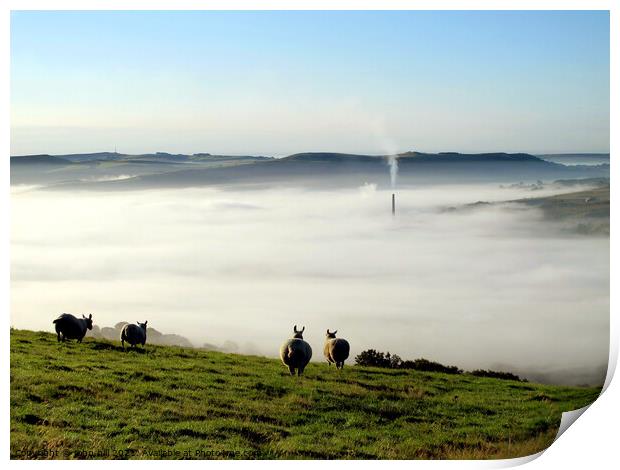 Morning mist. Print by john hill