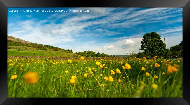 Carpet of Buttercups Swaledale Yorkshire Dales Framed Print by Greg Marshall