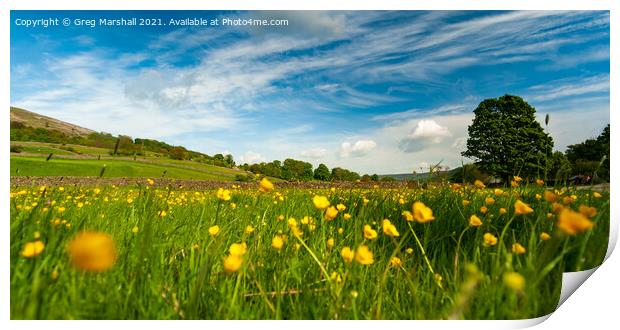 Carpet of Buttercups Swaledale Yorkshire Dales Print by Greg Marshall