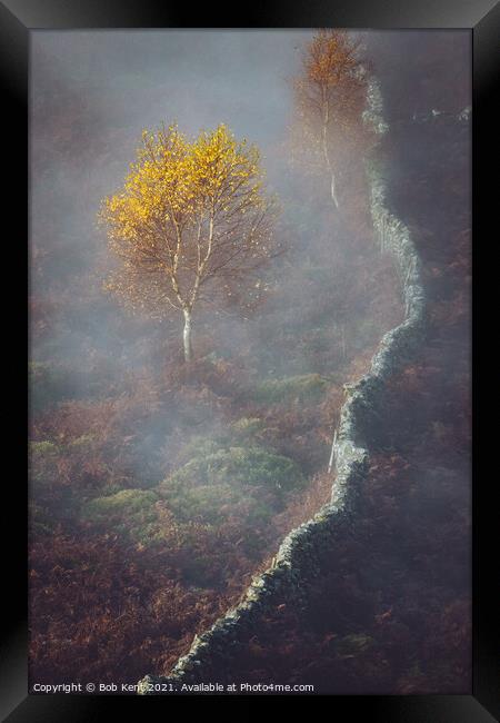 Autumn colour Framed Print by Bob Kent