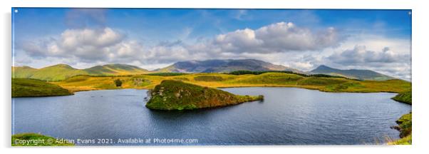 Llyn y Dywarchen Snowdonia  Panorama Acrylic by Adrian Evans