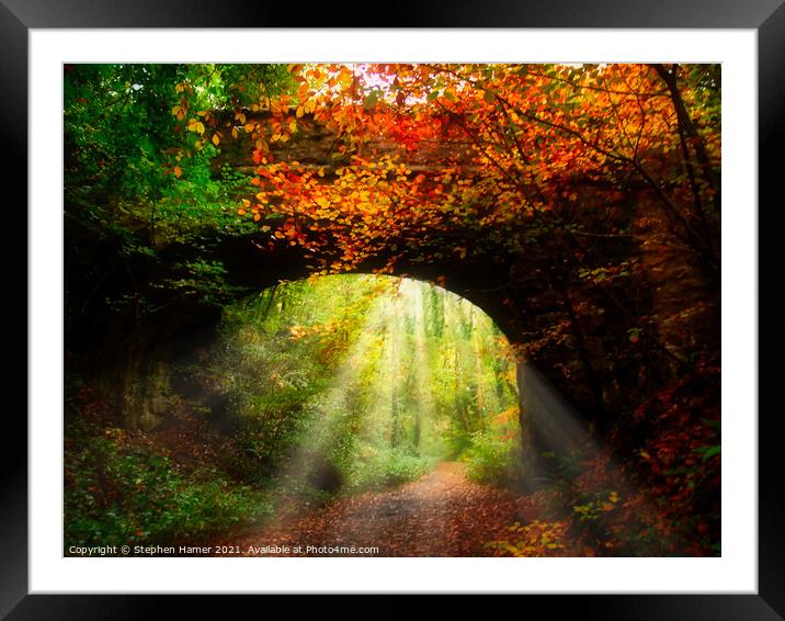 Autumn Woodland Walking Trail Framed Mounted Print by Stephen Hamer