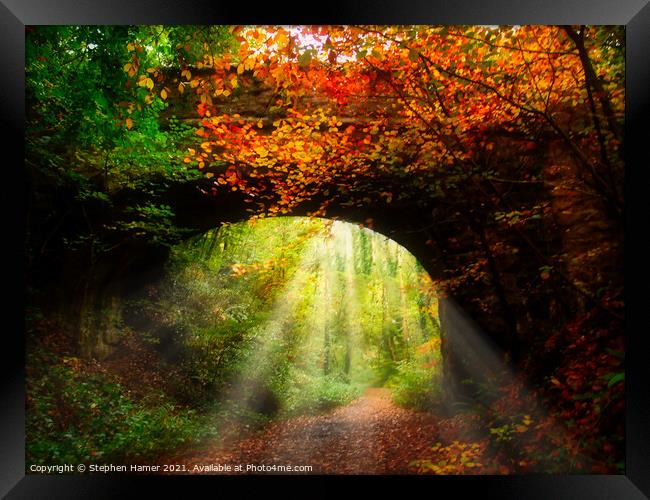 Autumn Woodland Walking Trail Framed Print by Stephen Hamer
