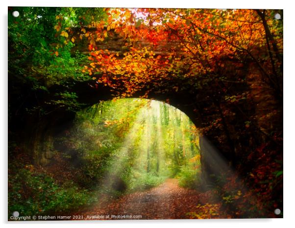 Autumn Woodland Walking Trail Acrylic by Stephen Hamer
