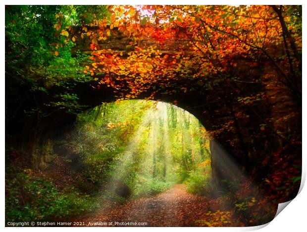 Autumn Woodland Walking Trail Print by Stephen Hamer