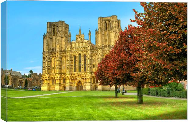 Wells Cathedral Autumn Trees Canvas Print by Alison Chambers