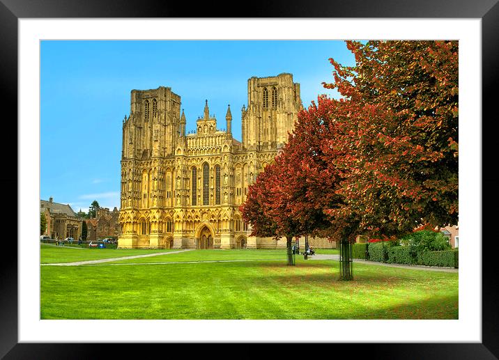Wells Cathedral Autumn Trees Framed Mounted Print by Alison Chambers