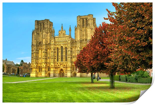 Wells Cathedral Autumn Trees Print by Alison Chambers