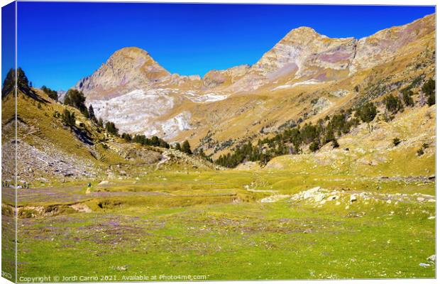 High mountain excursion to Aigualluds Canvas Print by Jordi Carrio