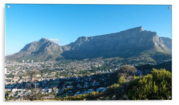Table Mountain Cape town Acrylic by Paul Naude