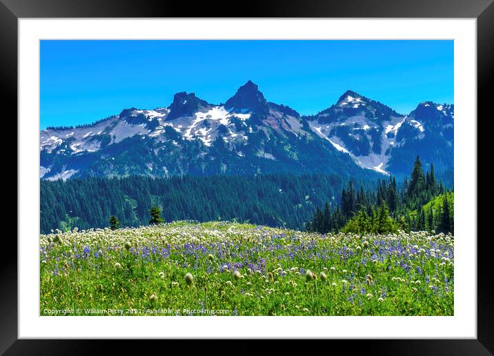Wildflowers Tatoosh Range Paradise Mount Rainier National Park W Framed Mounted Print by William Perry