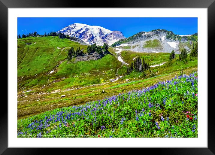 Wildflowers Paradise Mount Rainier National Park Washington Framed Mounted Print by William Perry