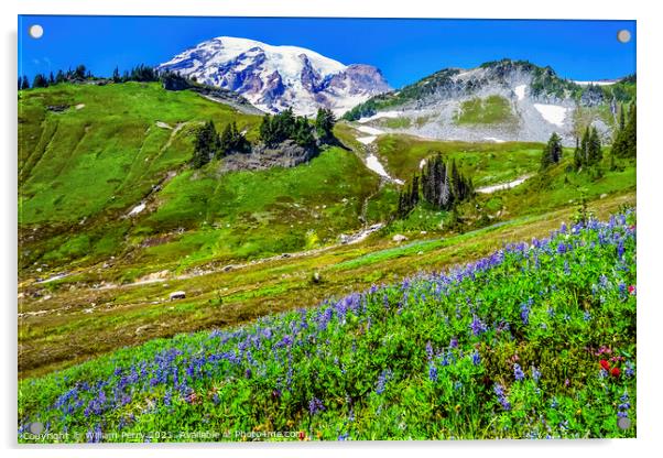 Wildflowers Paradise Mount Rainier National Park Washington Acrylic by William Perry