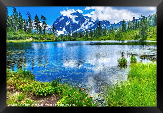 Picture Lake Evergreens Mount Shuksan Washington USA Framed Print by William Perry