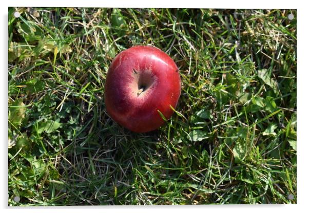 An apple Acrylic by Stan Lihai