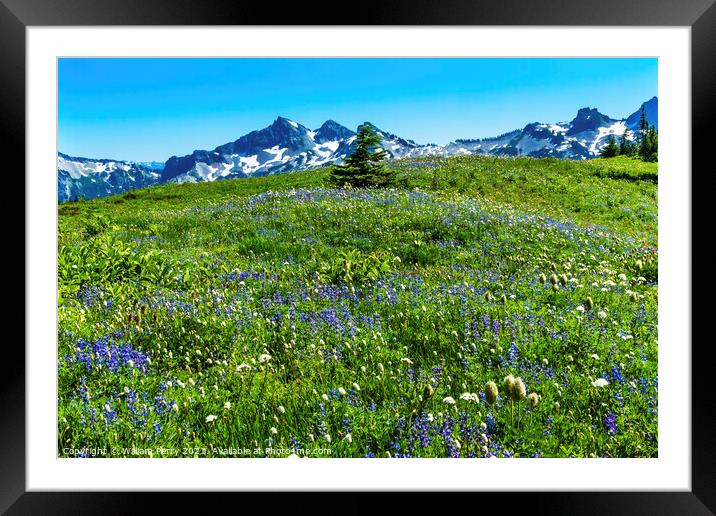 Wildflowers Tatoosh Range Paradise Mount Rainier National Park W Framed Mounted Print by William Perry