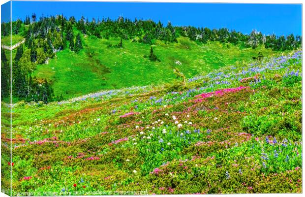 Pink Heather Blue Lupine Wildflowers Mount Rainier Paradise Canvas Print by William Perry