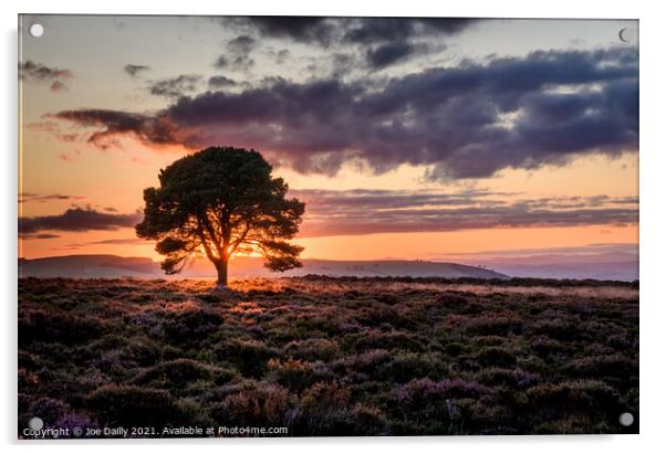 A lone tree at sunset Acrylic by Joe Dailly