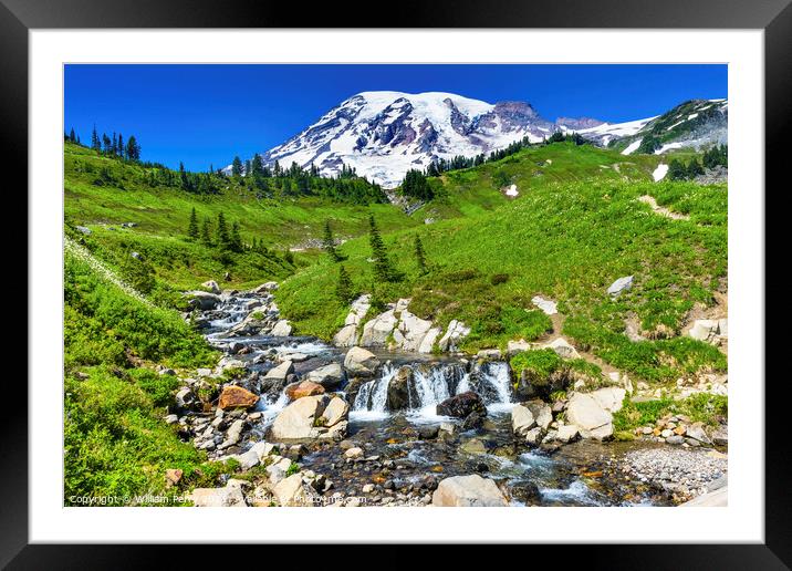 Wildflowers Edith Creek Paradise Mount Rainier National Park Was Framed Mounted Print by William Perry