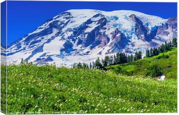 Bistort Wildflowers Paradise Mount Rainier National Park Washing Canvas Print by William Perry